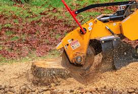 Grass Overseeding in Springfield, IL